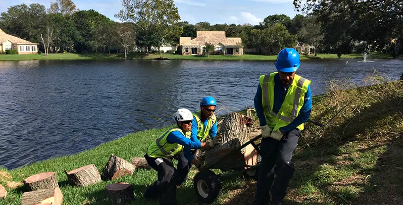 BrightView Hurricane Preparedness eBook